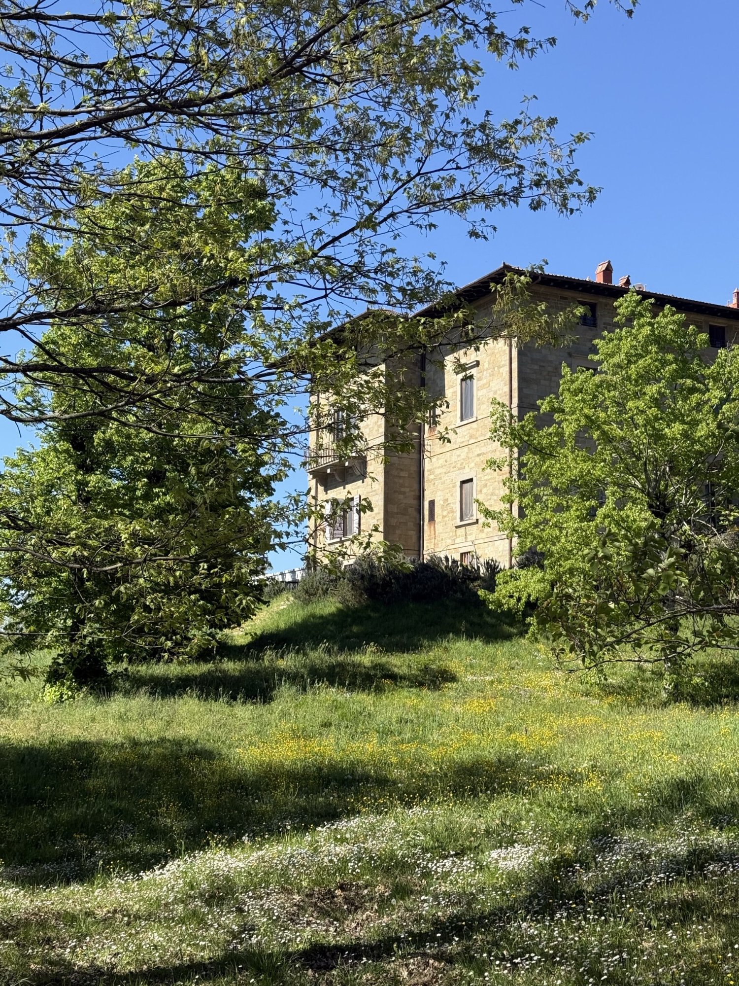 The villa among the trees on a summer evening